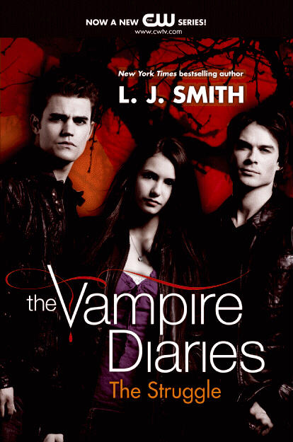 the struggle vampire diaries