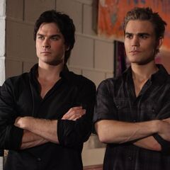 family salvatore stefan vampire diaries damon wikia child tree