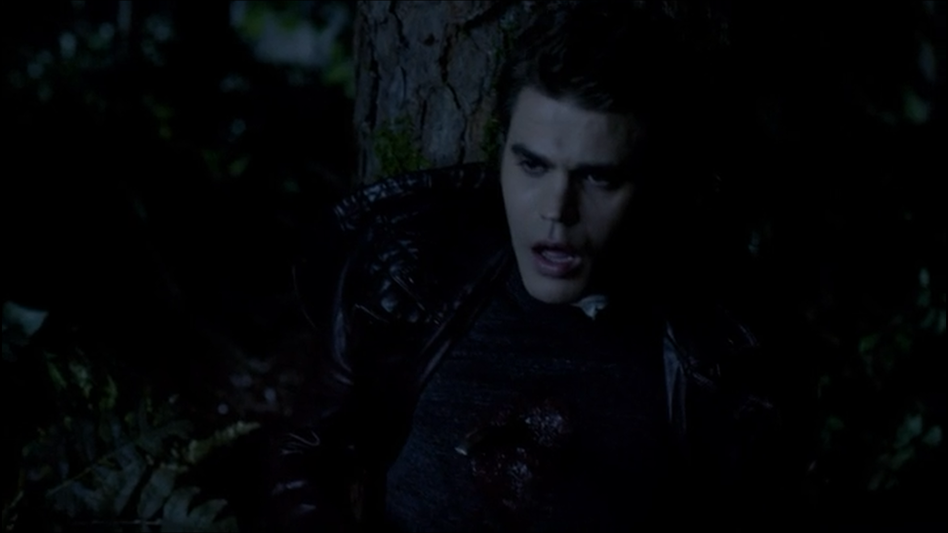 Image Silas dead.png The Vampire Diaries Wiki FANDOM powered by Wikia