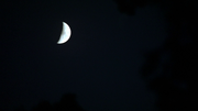 103-September 11 2009