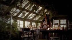 Normal TheOriginals209-0486Lenore