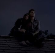 Stefan and Elena