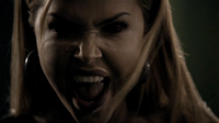 LexiVampir