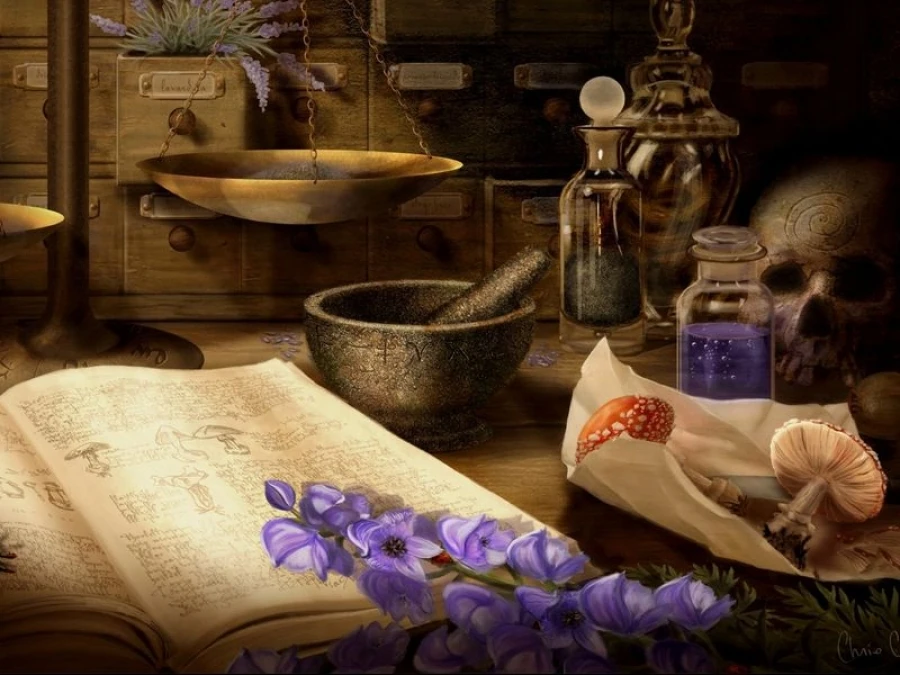 Spells and Rituals (novel) | The Vampire Diaries Wiki | FANDOM powered