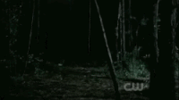 Werewolf-superspeed