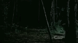 Werewolf-superspeed
