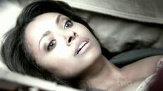 3x12 Bonnie