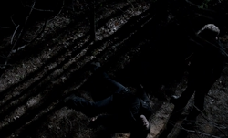 Galen et Damon (nuque brisée)