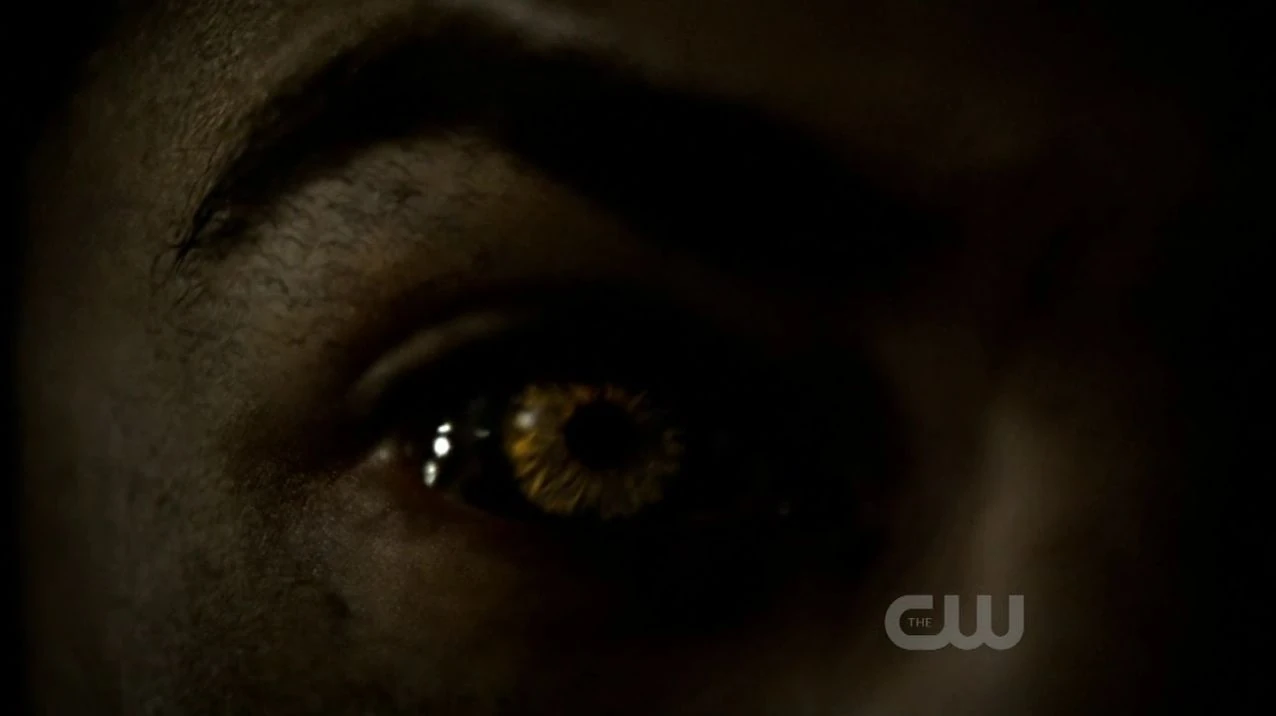 Loupsgarous Wiki Vampire Diaries France FANDOM powered by Wikia