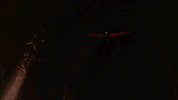 Tumblr mtm2dnOH7S1rr56cmo1 500