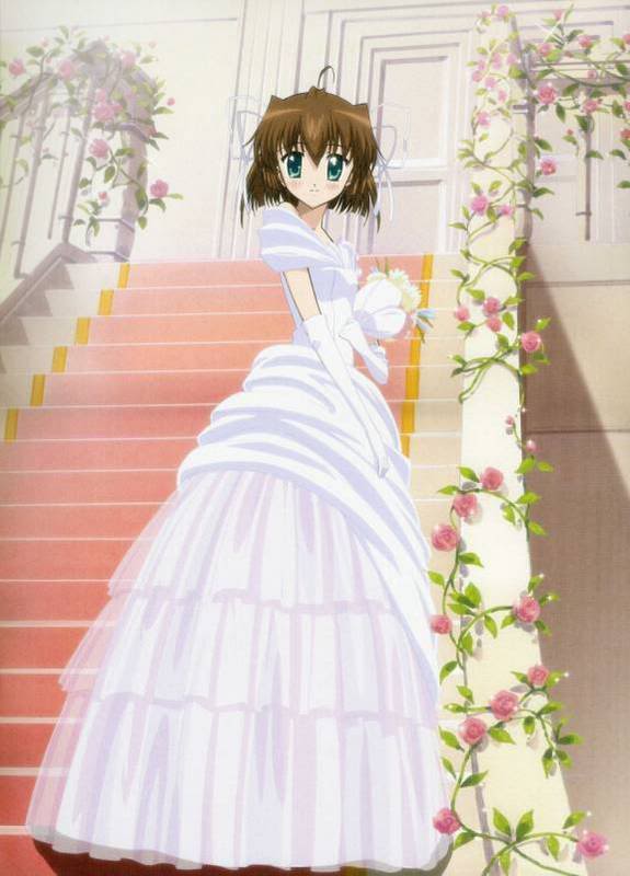 anime wedding royal dresses for – fashion dresses