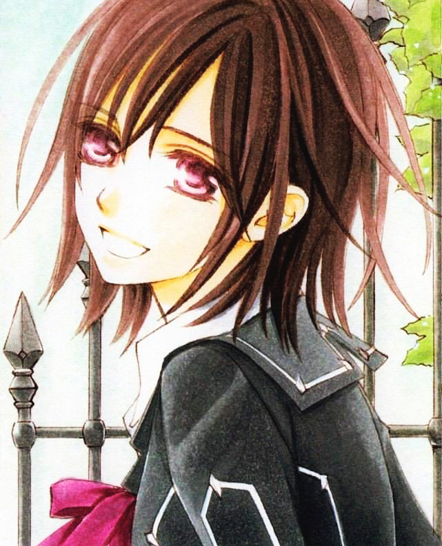 Yuki Kuran Vampire Knight Wiki Fandom