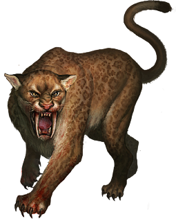 puma png puma png