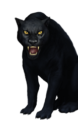 Image - Black Jaguar.png | Vampire Wars Wiki | FANDOM powered by Wikia