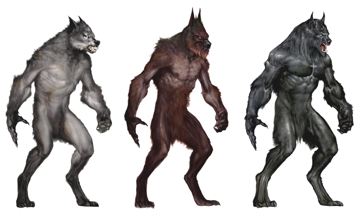 werewolf-van-helsing-vankia-fandom