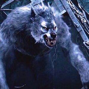 Werewolf Van Helsing Wiki Fandom