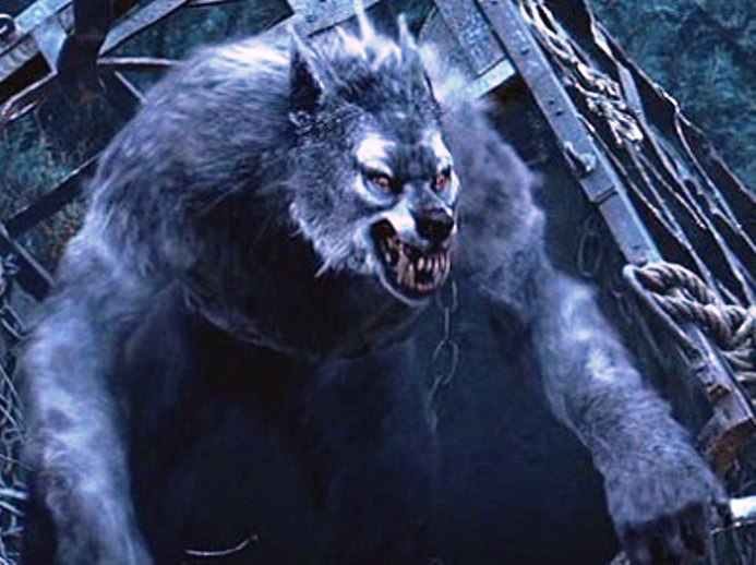 Werewolf Van Helsing Wiki Fandom Powered By Wikia 8369