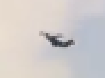 FatherPlumbeting-0