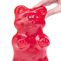 Gummy Grizzly Bear Vat19 Wiki Fandom