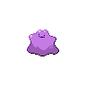 Ditto