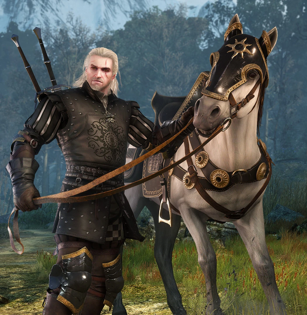 Доспехи нильфгаарда нетфликс. Доспехи нильфгаарда. Доспехи нильфгаарда ведьмак 3. Ведьмак 3 доспехи нильфагрда. Ведьмак петер саар гвинлеве.