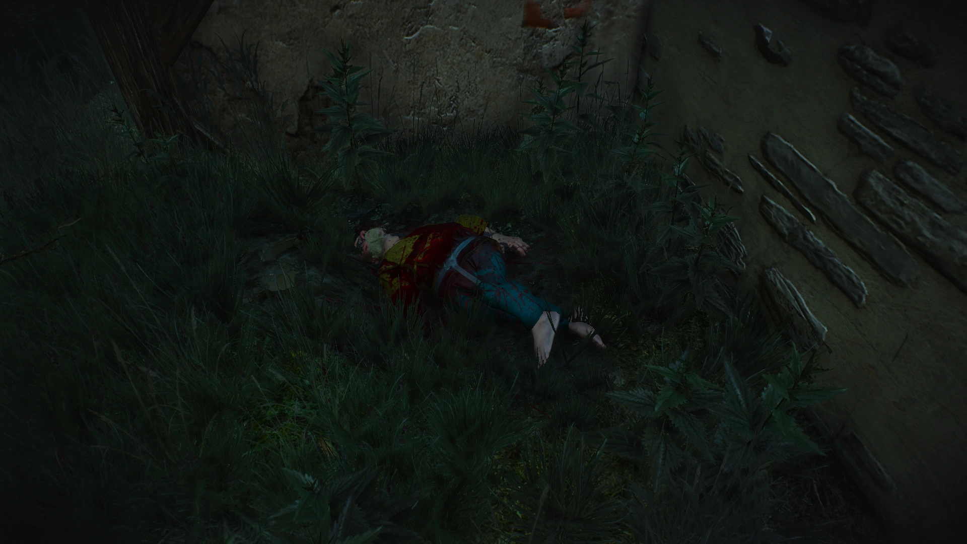 Ведьмак 1 гробница ворона. Ведьмак 3 пир для ворон. Ведьмак с вороном. Ведьмак 3 пир для ворон. Гробница ворона ведьмак.