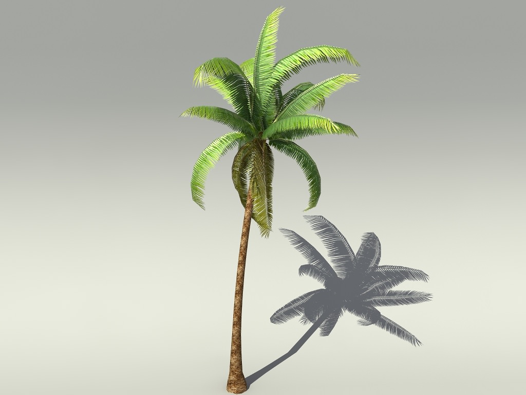 image palm tree 3d model jpg veggietales wiki fandom powered