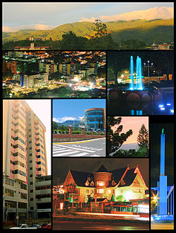 CollageSCB