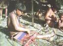Indigenas