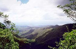 HenriPittierpq