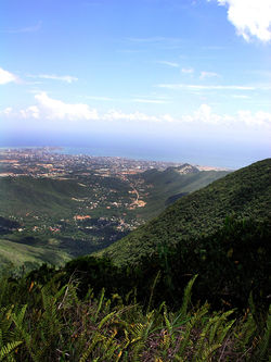 Cerro El Copey 01