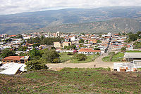 Michelena