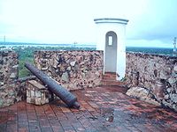 Fortin zamuro