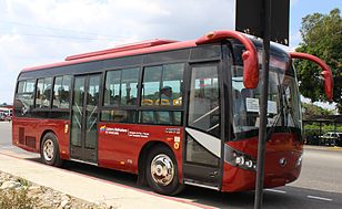 Bus BARINAS