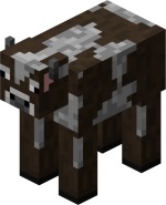 Mountain Cow