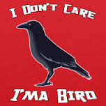 Birdonashirt