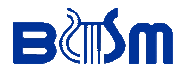 Bsm