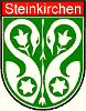 Logo SGi Steinkirchen
