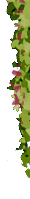 SvK banner 1.3