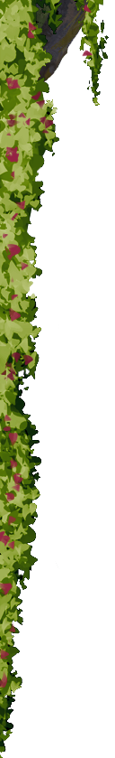 SvK banner 1.2