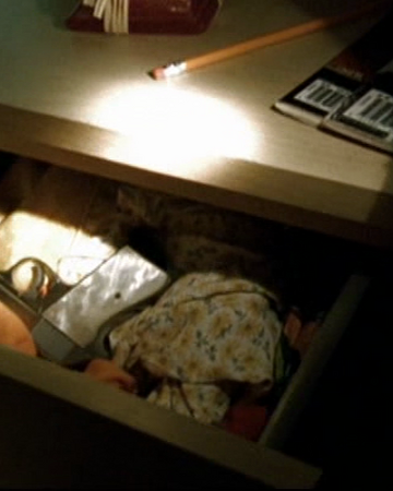 The Girl Next Door Veronica Mars Wiki Fandom