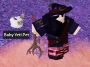 Category Pet Vesteria Wiki Fandom