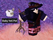 Roblox Vesteria How To Get Pet Chicken