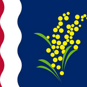 Mississippi Vexillology Wiki Fandom
