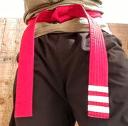 Redbelt