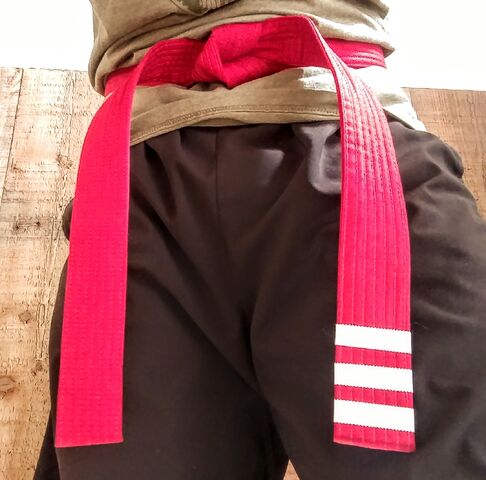 File:Redbelt.jpg