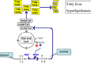 Fatty alcohol