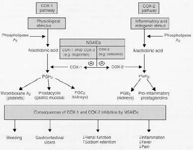 Can neurontin withdrawal cause seizures