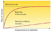 Cellular energetics1