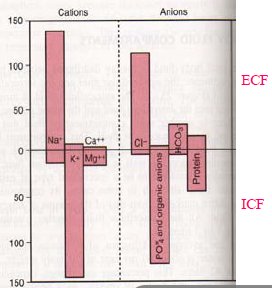Extracellular enviornmnet